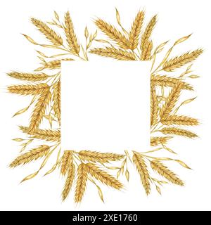 Cadre carré d'épis de blé. Conception d'aquarelle de tiges d'orge pour emballage de pain, marque de boulangerie. Clipart rustique pour les invitations de mariage de grange, festival de moisson d'automne, Thanksgiving, célébration de Shavuot Banque D'Images