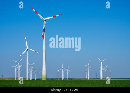 Éoliennes en face d'un ciel bleu clair vu en Allemagne Banque D'Images