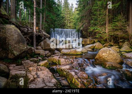 Cascade sauvage dans les montagnes Karpacz-Giant/Pologne 8 Banque D'Images