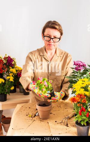 Femme de 50 ans transplantant des fleurs de bégonia dans des pots, décorant la terrasse ou le balcon de la maison avec des fleurs Banque D'Images