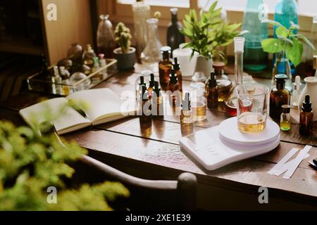 Table en bois avec des échantillons de parfum huiles essentielles balance de cuisine, plante d'intérieur et cactus en argile et en verre pots et buvards Banque D'Images