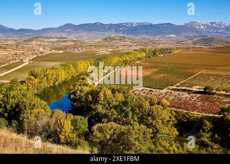 Vignes en automne, l'Èbre, La Estrella, Monastère San Asensio, La Rioja, Espagne, Europe. Banque D'Images