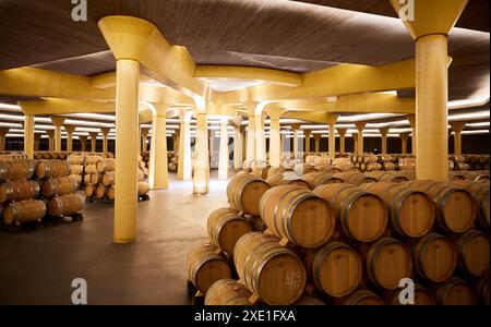 Cave à vin, le Dinastia Vivanco Winery, Briones, La Rioja, Espagne, Europe Banque D'Images