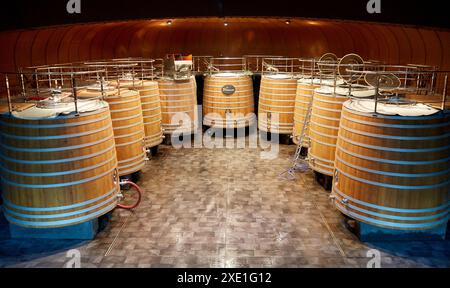 Cave à vin, le Dinastia Vivanco Winery, Briones, La Rioja, Espagne, Europe Banque D'Images