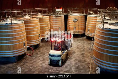 Cave à vin, le Dinastia Vivanco Winery, Briones, La Rioja, Espagne, Europe Banque D'Images