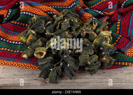 Concombre séché de dinde farci de viande hachée, riz, herbes et épices. Le concombre farci est un plat turc traditionnel de Gaziantep. Nom local Banque D'Images