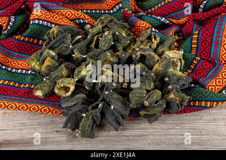 Concombre séché de dinde farci de viande hachée, riz, herbes et épices. Le concombre farci est un plat turc traditionnel de Gaziantep. Nom local Banque D'Images