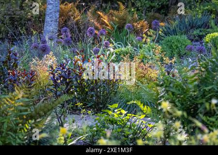 Jardin pérenne coloré à l'Atlanta Botanical Garden à Midtown Atlanta, Géorgie. (ÉTATS-UNIS) Banque D'Images