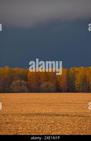 Ciel orageux de coucher de soleil sur le champ de chaume d'automne Banque D'Images