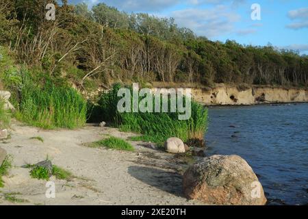 Côte escarpée sur la mer Baltique, île de Poel Banque D'Images