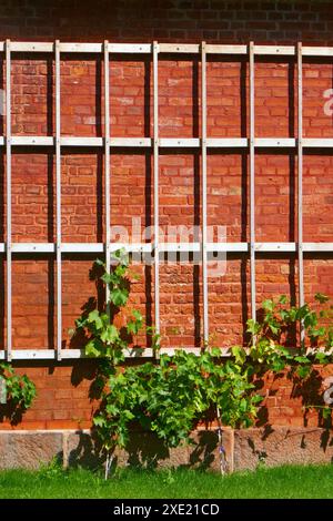 Treillis sur un mur de briques Banque D'Images