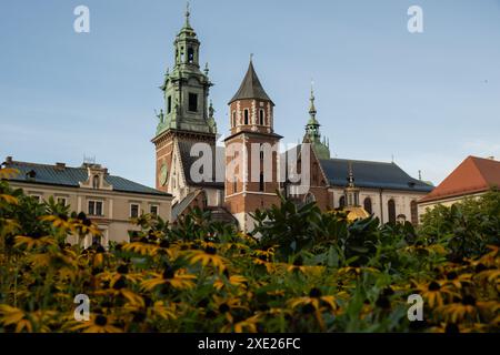 Vue estivale du château royal de Wawel à Cracovie, Pologne. Lieu historique en Pologne. Fleurs au premier plan. Belle visite wi Banque D'Images