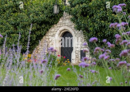 Cave à vin construite à partir de pierres avec des fleurs violettes au premier plan dans le château de Wawel Cracovie, Pologne. Floraison dans le parterre de fleurs à courty Banque D'Images