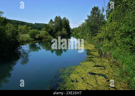 La rivière bleue à Blaustein-Herrlingen ; Souabe Alb, Allemagne; Banque D'Images