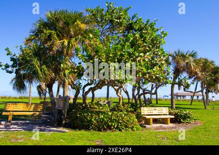 Petit parc avec arbres, Vero Beach, Floride Banque D'Images