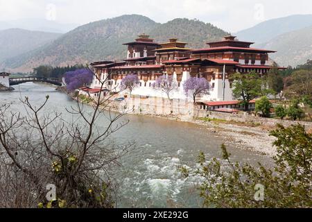 Vue sur le monastère de Punakha à Punakha, Bhoutan Banque D'Images