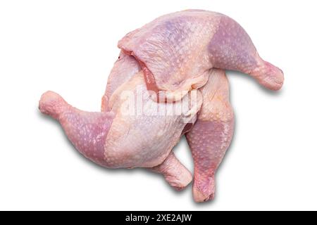 Pile de vue de dessus de cuisses de poulet crues fraîches isolées sur fond blanc. Banque D'Images