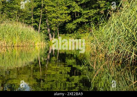 Paysage autour de la rivière Krutynia près de Krutyn en Pologne Banque D'Images