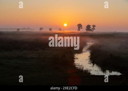 Lever de soleil coloré sur les terres d'herbe dans le parc national weerribben wieden près de Giethoorn dans la province néerlandaise d'overijssel Banque D'Images