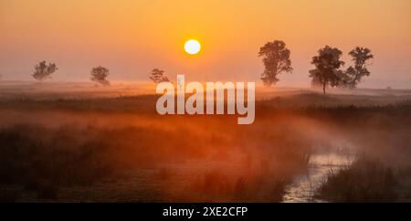 Lever de soleil coloré sur les terres d'herbe dans le parc national weerribben wieden près de Giethoorn dans la province néerlandaise d'overijssel Banque D'Images