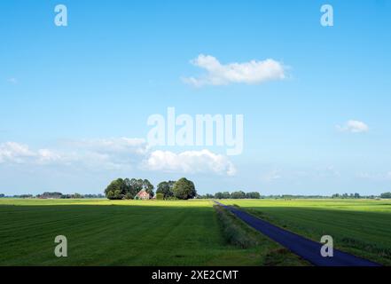 Route de campagne droite et ferme avec des prairies verdoyantes dans le parc national weerribben wieden près de Giethoorn aux pays-bas sous le ciel bleu d'été Banque D'Images