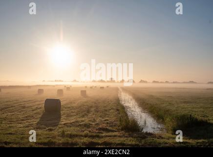 brouillard matinal et balles de foin dans la prairie pendant le coucher du soleil dans le parc national weerribben wieden près de sint jansklooster dans la province néerlandaise d'overijssel Banque D'Images