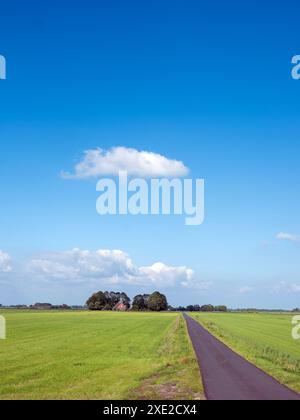 Route de campagne droite et ferme avec des prairies verdoyantes dans le parc national weerribben wieden près de Giethoorn aux pays-bas sous le ciel bleu d'été Banque D'Images