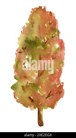 Arbre de forêt aquarelle. Arbre d'automne avec des feuilles rouges et jaunes. Banque D'Images