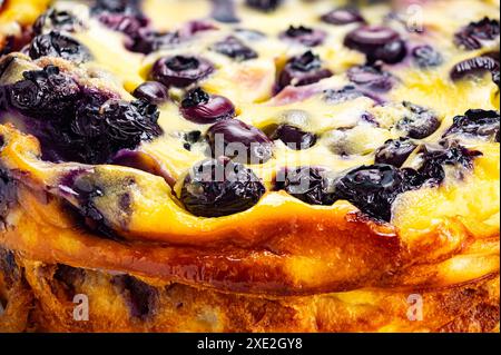 Gros plan extrême de délicieux gâteau aux myrtilles au yaourt fraîchement cuit. Banque D'Images