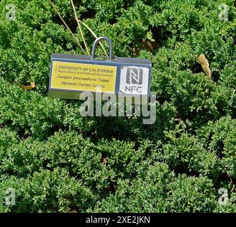 Panneau d'identification des plantes agricoles et naturelles de l'Université de Californie, dans la zone de loisirs régionale de Quarry Lakes, Fremont, Californie Banque D'Images