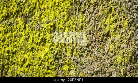 Gros plan sur la mousse verte éclatante d'un rocher accidenté Banque D'Images