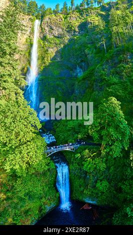Vue aérienne des chutes de Multnomah et passerelle dans la forêt de l'Oregon Banque D'Images
