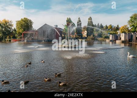 Canards sur le lac dans le parc. Garez-vous à l'automne. Arbres d'automne. Les canards sauvages se reflètent dans le lac. Plumes d'oiseau multicolores Banque D'Images