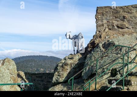 Cooma, Nouvelle-Galles du Sud, Australie, 25 juin 2024 : la sculpture en acier d'une chèvre de Nanny par Chis Graham au belvédère de Nanny Goat Hill. Banque D'Images