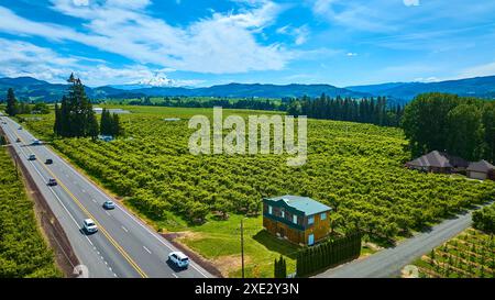 Vol aérien au-dessus des vergers de l'Oregon avec le Mont Hood en arrière-plan Banque D'Images