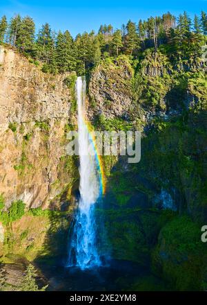 Vue aérienne des chutes de Multnomah avec Rainbow et Evergreen Forest Banque D'Images