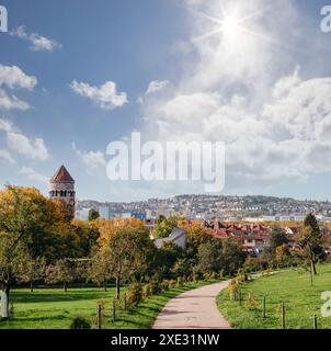 Allemagne, Stuttgart vue panoramique. Belles maisons en automne, ciel et paysage de la nature. Vignobles à Stuttgart - vin coloré g Banque D'Images