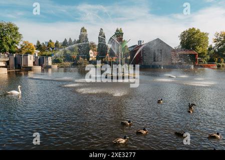 Canards sur le lac dans le parc. Garez-vous à l'automne. Arbres d'automne. Les canards sauvages se reflètent dans le lac. Plumes d'oiseau multicolores Banque D'Images