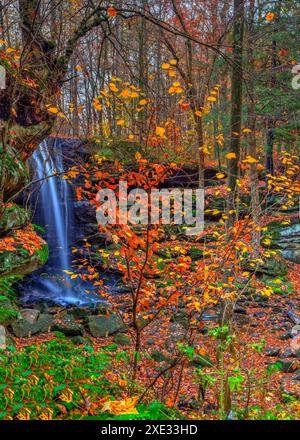 Lower Dundee Falls en automne, Beach City Wilderness Area, Ohio Banque D'Images