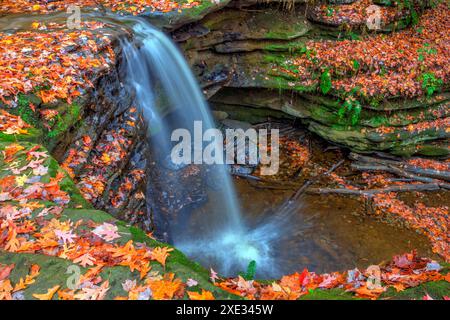 Dundee Falls en automne, Beach City Wilderness Area, Ohio Banque D'Images