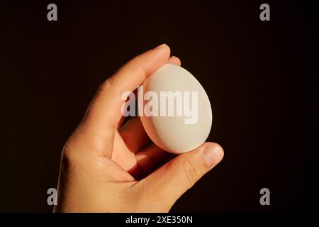 Oeuf de poule blanc dans la main d'une femme. Banque D'Images