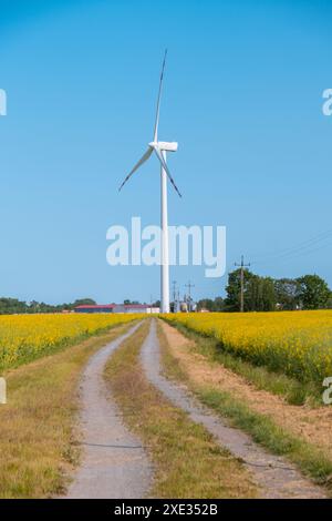 Éolienne sur champ jaune herbeux contre ciel bleu nuageux dans la zone rurale pendant le coucher du soleil. Parc éolien offshore avec Stormy clou Banque D'Images