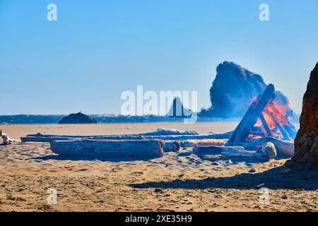 Feu de joie sur Oregon Beach avec des vagues qui s'écrasent au niveau des yeux Banque D'Images