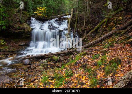 Site pittoresque de Wagner Falls State, Michigan Banque D'Images