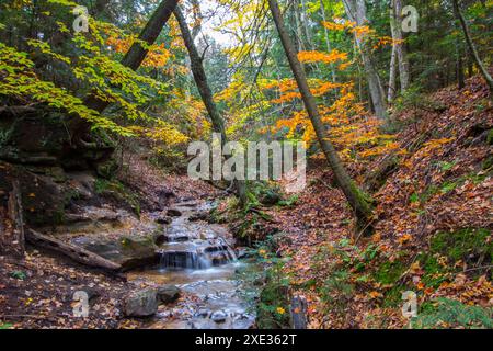 Site pittoresque de Wagner Falls State, Michigan Banque D'Images