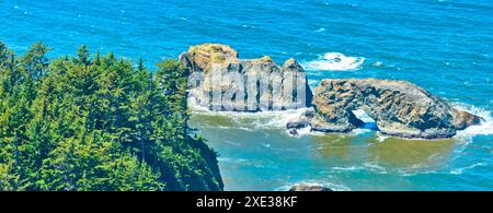 Vol aérien à travers Rocky Sea Stacks et la côte luxuriante de la forêt Banque D'Images