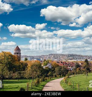 Allemagne, Stuttgart vue panoramique. Belles maisons en automne, ciel et paysage de la nature. Vignobles à Stuttgart - vin coloré g Banque D'Images