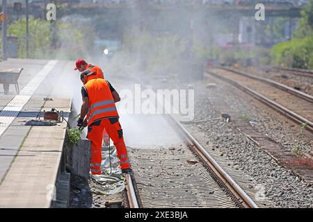 Gefährliche Berufe BEI der Bahn Mitarbeiter der Deutschen Bahn arbeiten während laufender Fahrten im Gleisbereich nahe den Zügen und reparieren eine marode Bahnsteigkante *** travaux dangereux sur les chemins de fer les employés de Deutsche Bahn travaillent sur les voies ferrées à proximité des trains pendant qu'ils circulent et réparent un bord de quai délabré Banque D'Images