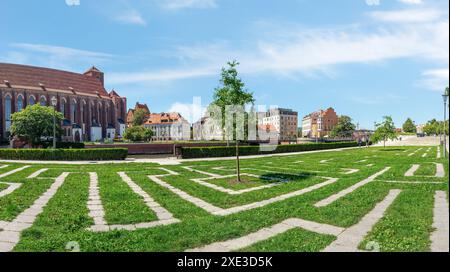 Labyrinthe d'herbe à Wroclaw Banque D'Images