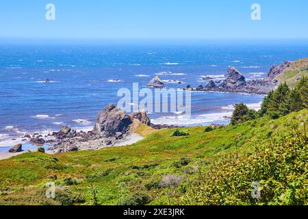 Rivage rocheux et verdure luxuriante avec vue aérienne sur les vagues de l'océan Banque D'Images